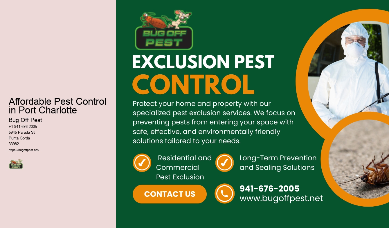 Affordable Pest Control in Port Charlotte