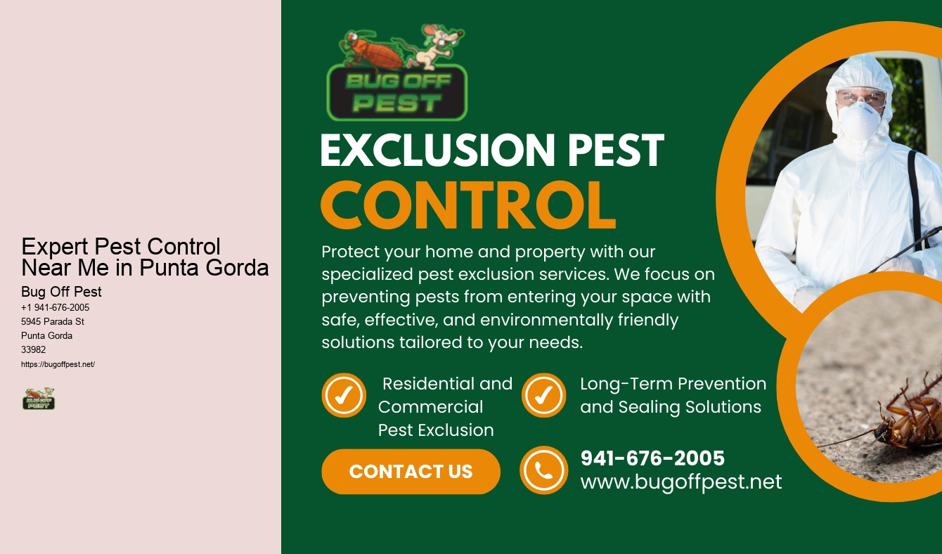 Expert Pest Control Near Me in Punta Gorda