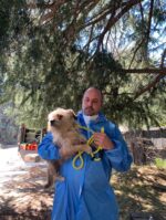 UPDATE: Largest rescue operation in Lake Hughes area for hundreds of dogs and cats