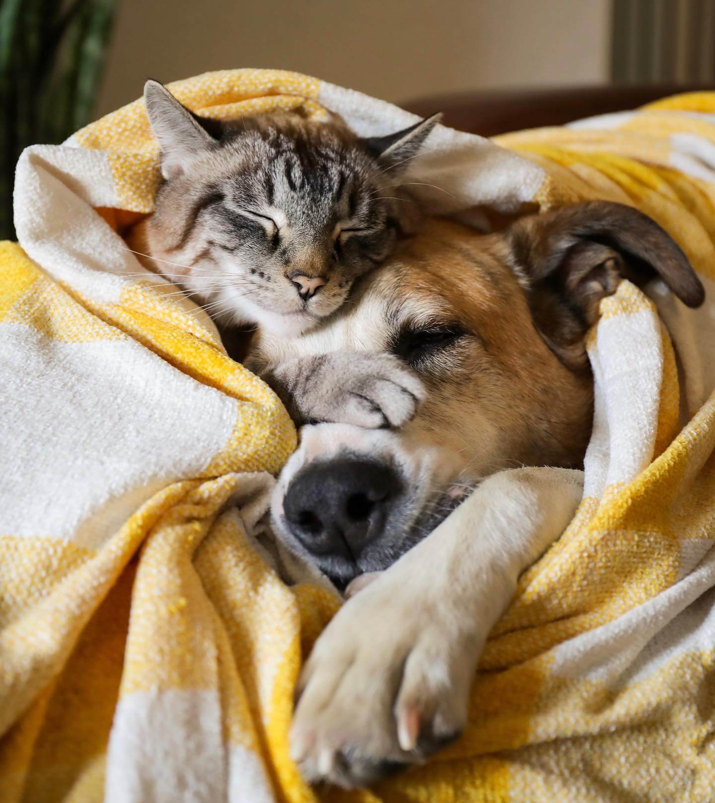 260275938_438827990929717_672198663459439097_n