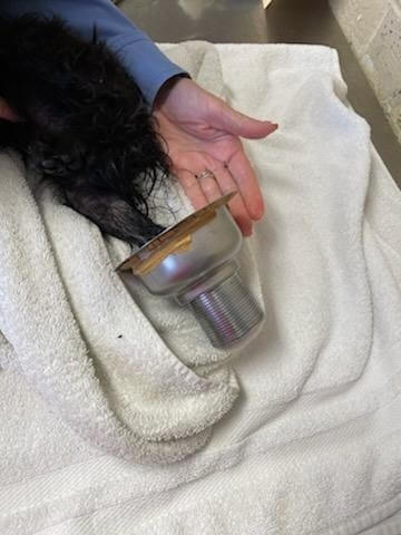 273679824_4849952235091639_3162142393175696949_n