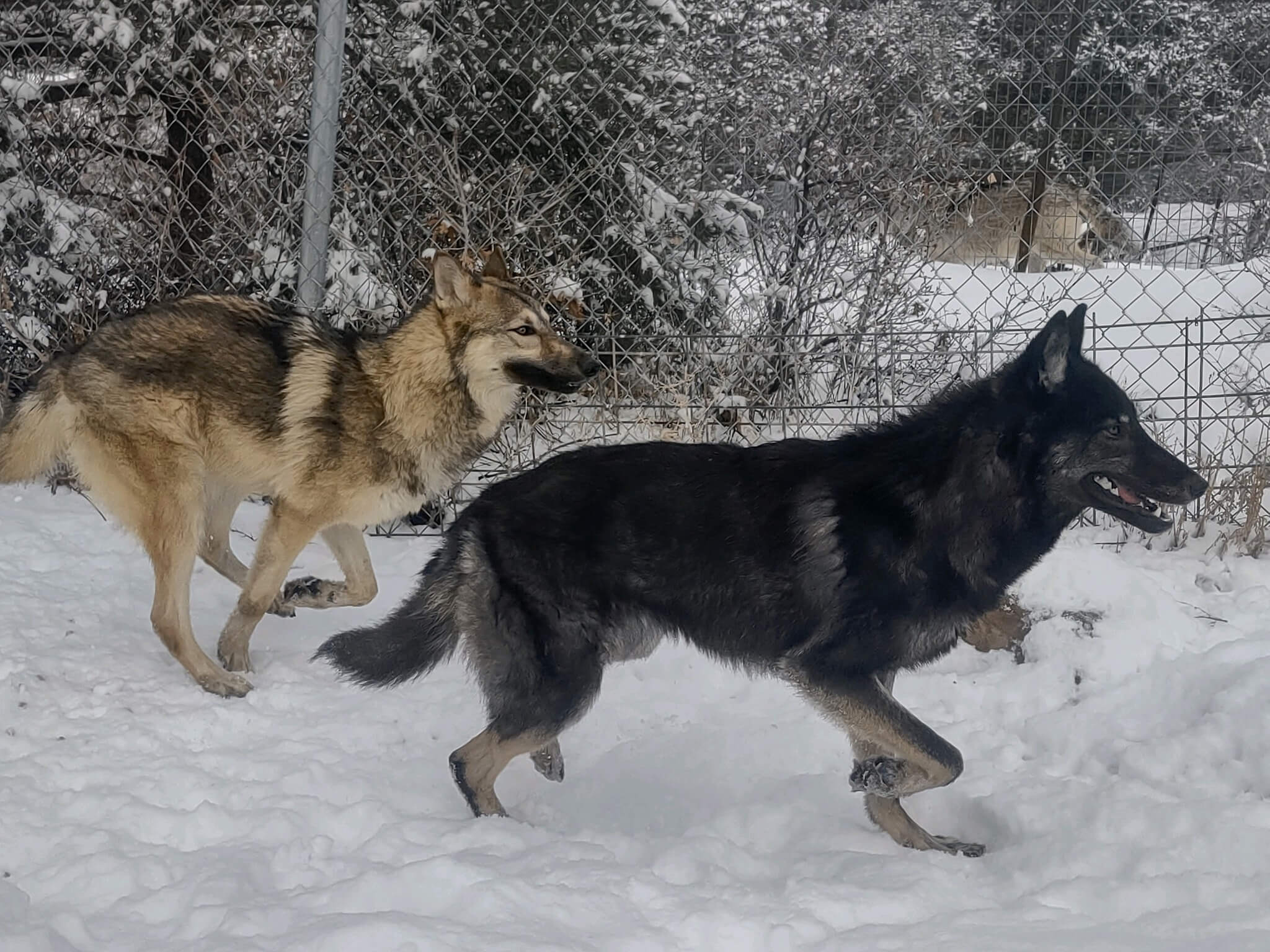 273835477_10158927954962945_2908887477234712618_n