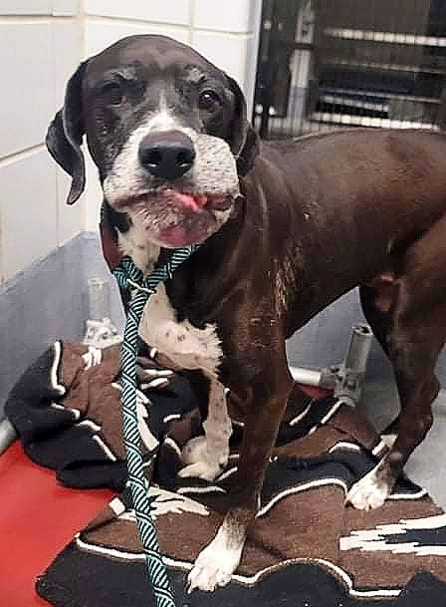 274366162_10159593386882310_2408337781473638627_n