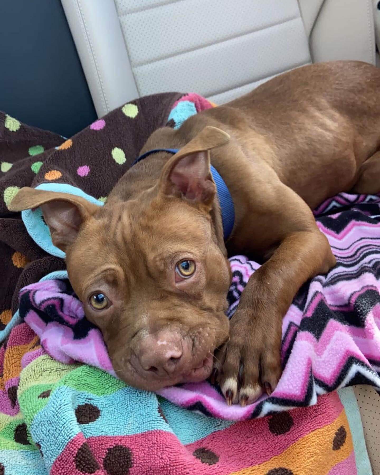 274589366_2118475068331281_6374567308415394058_n