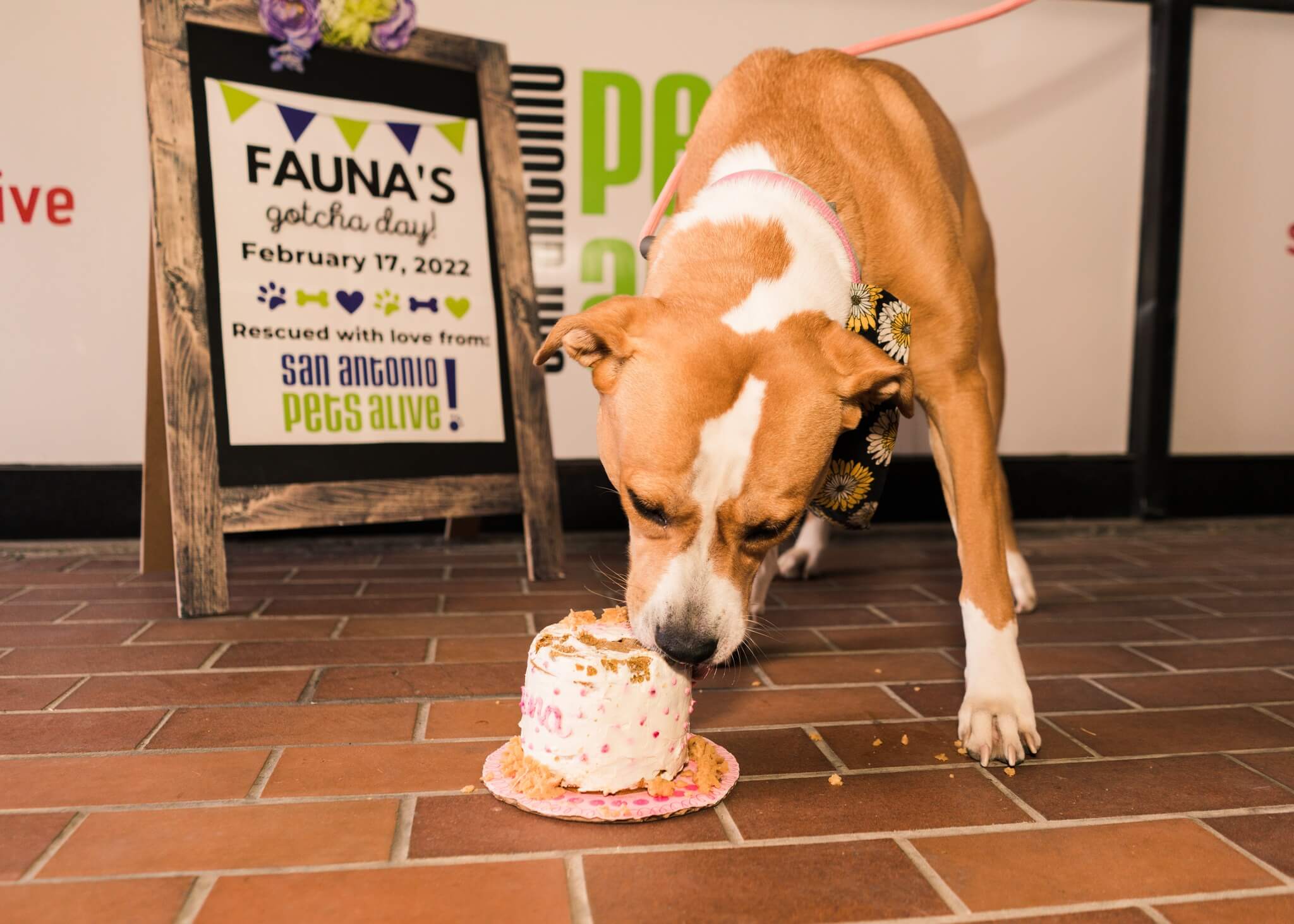 274655007_5065362380152721_925985118740752640_n