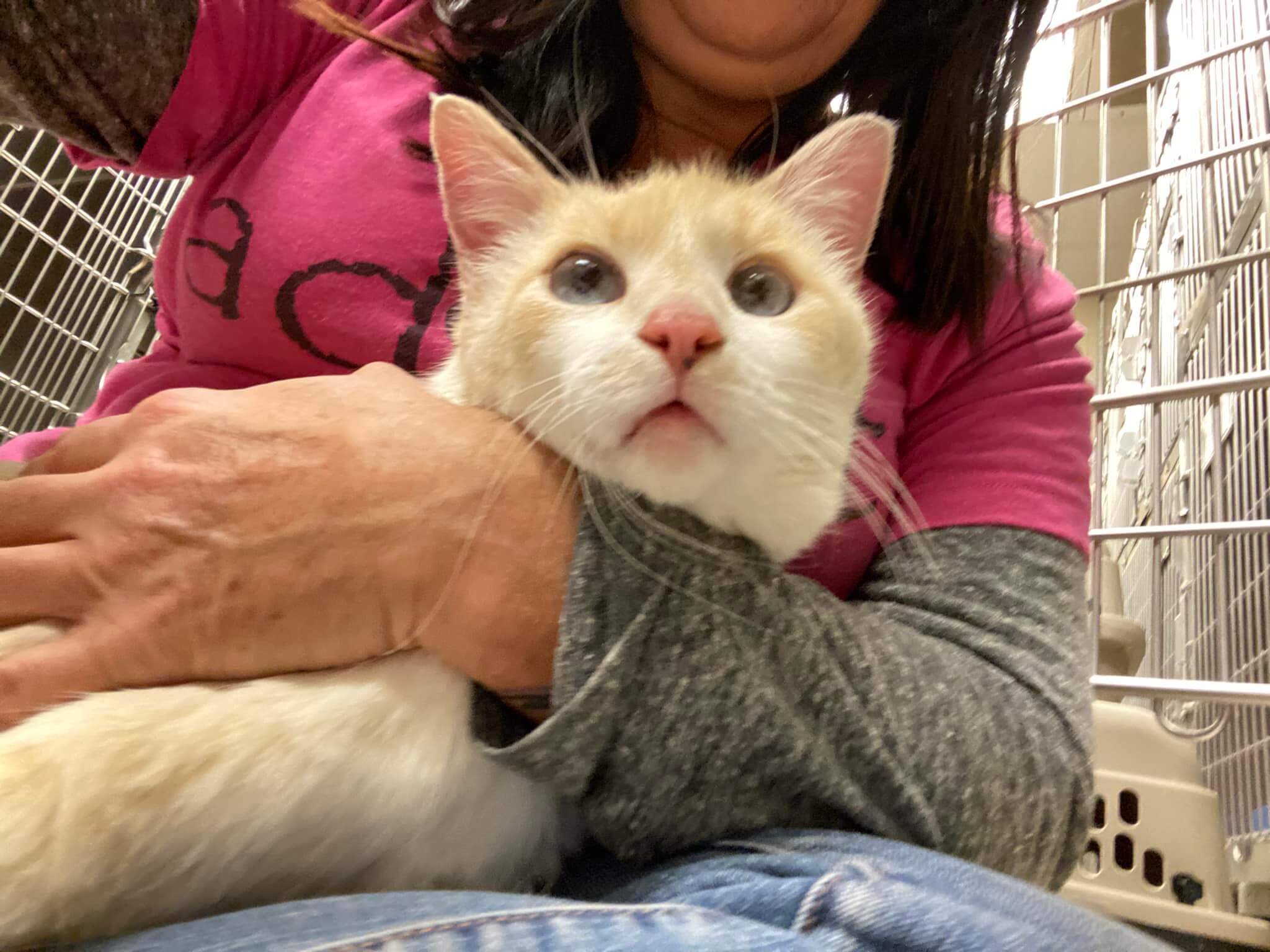 274878540_7092340417503112_8045101096559621192_n