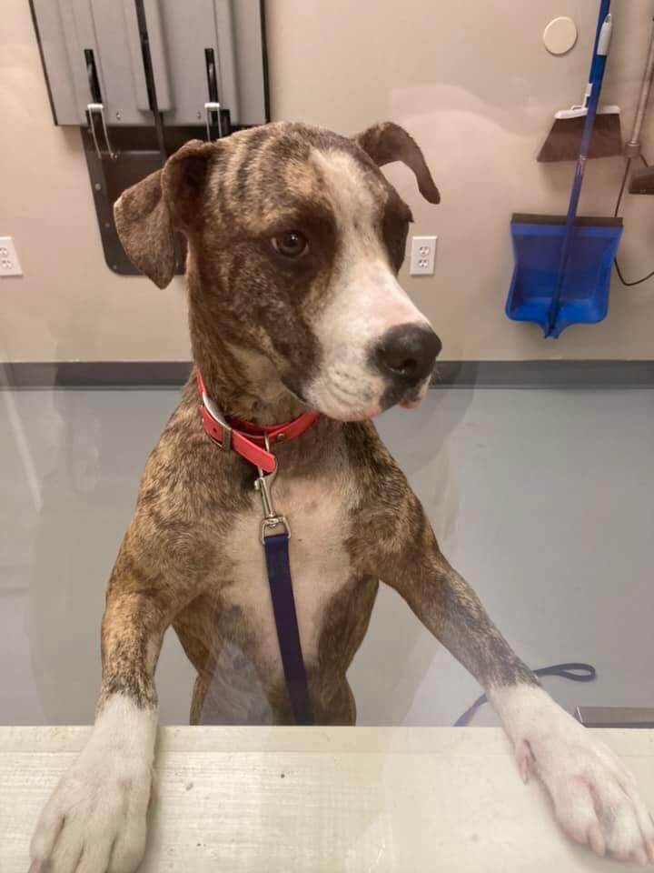 274994693_3098400037092797_3150586329616277542_n