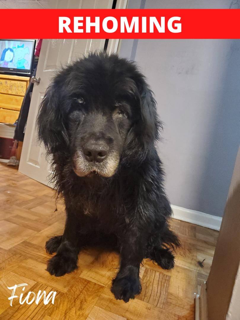 275127666_410305924234584_6479697044582024635_n