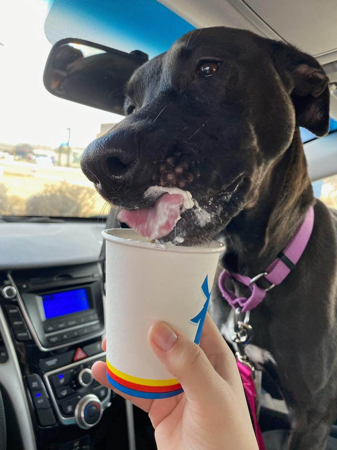 275733187_10160082564059402_2940561006336612658_n