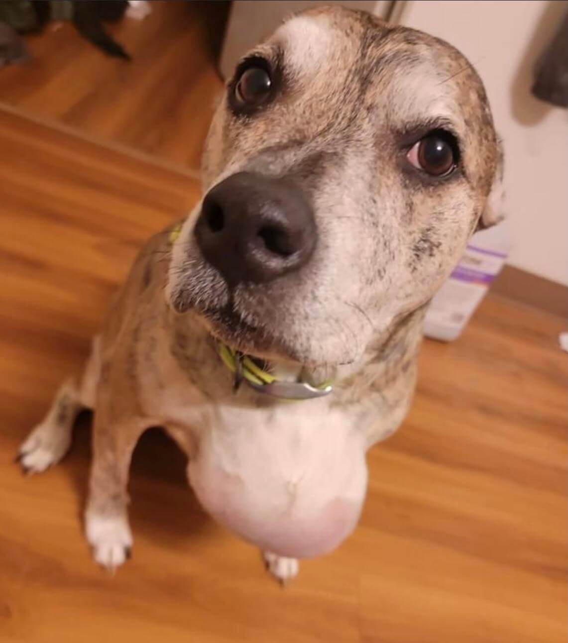 276298367_5216463481719235_4071273050074495716_n