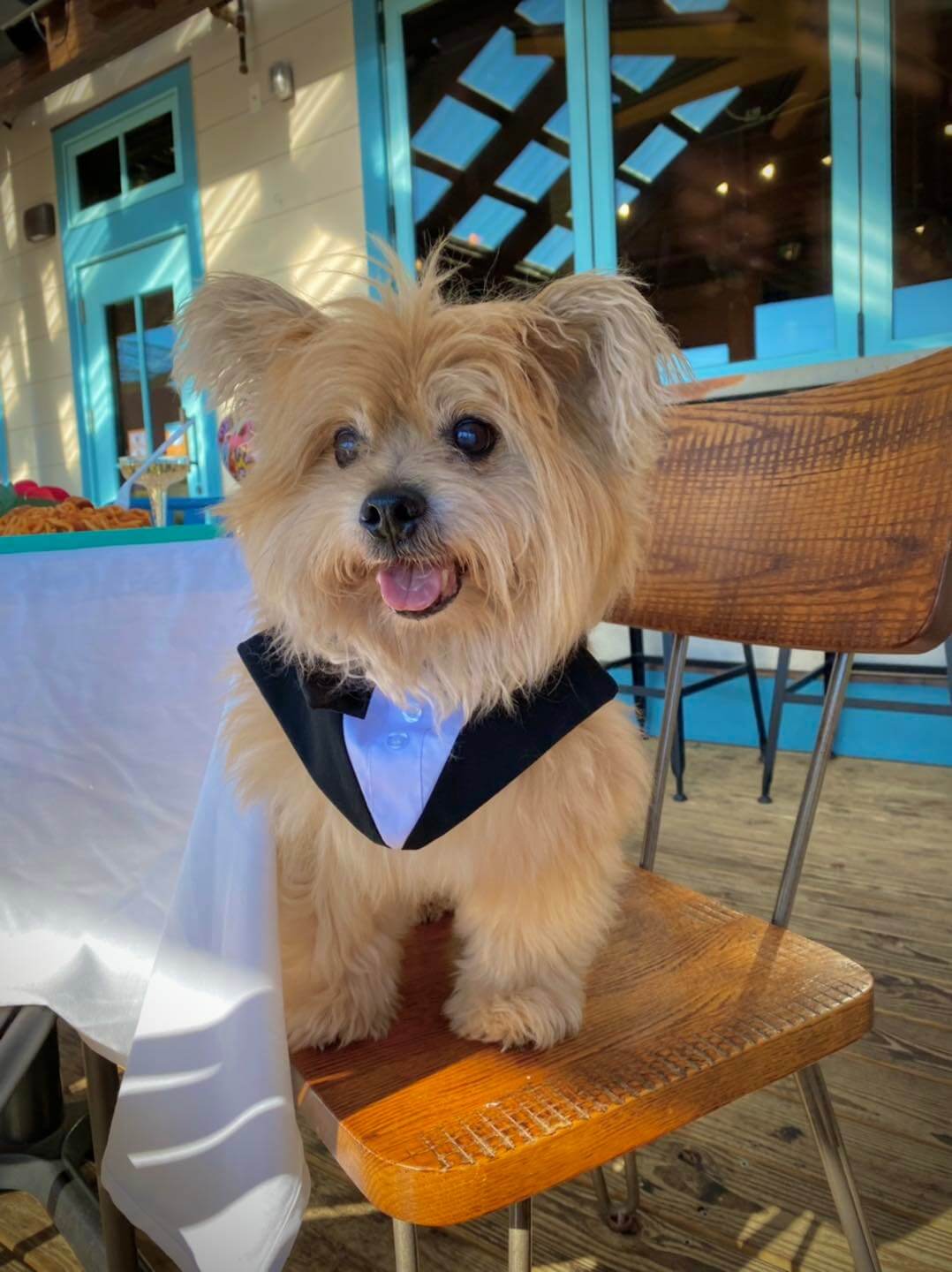 278925350_2555233424608457_3570083216506571128_n