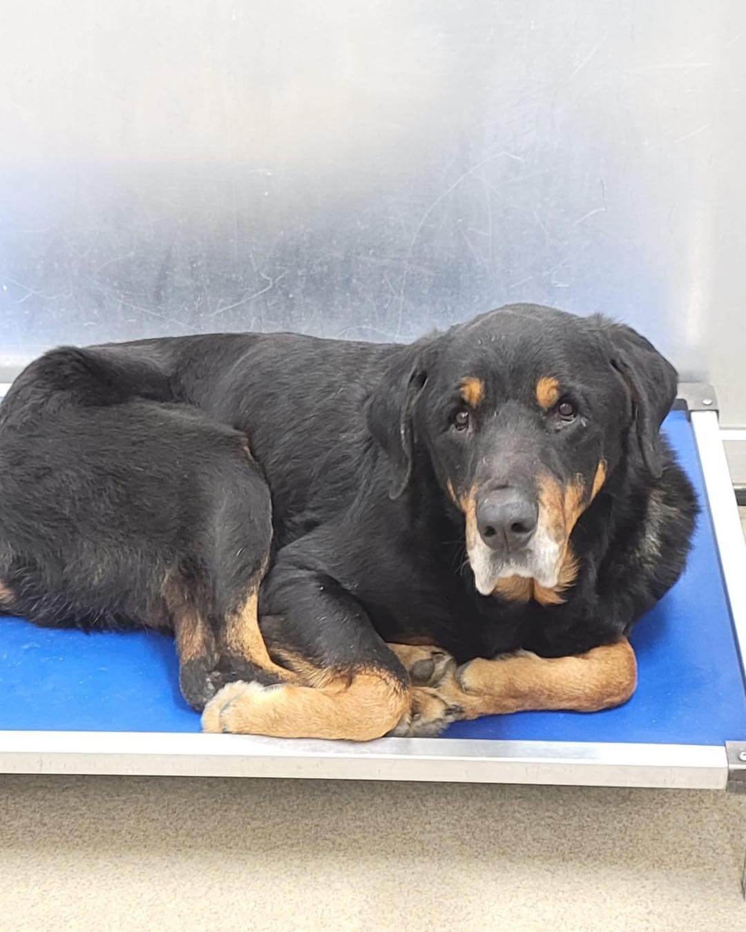 280721839_1019286285396745_5817439165025332206_n