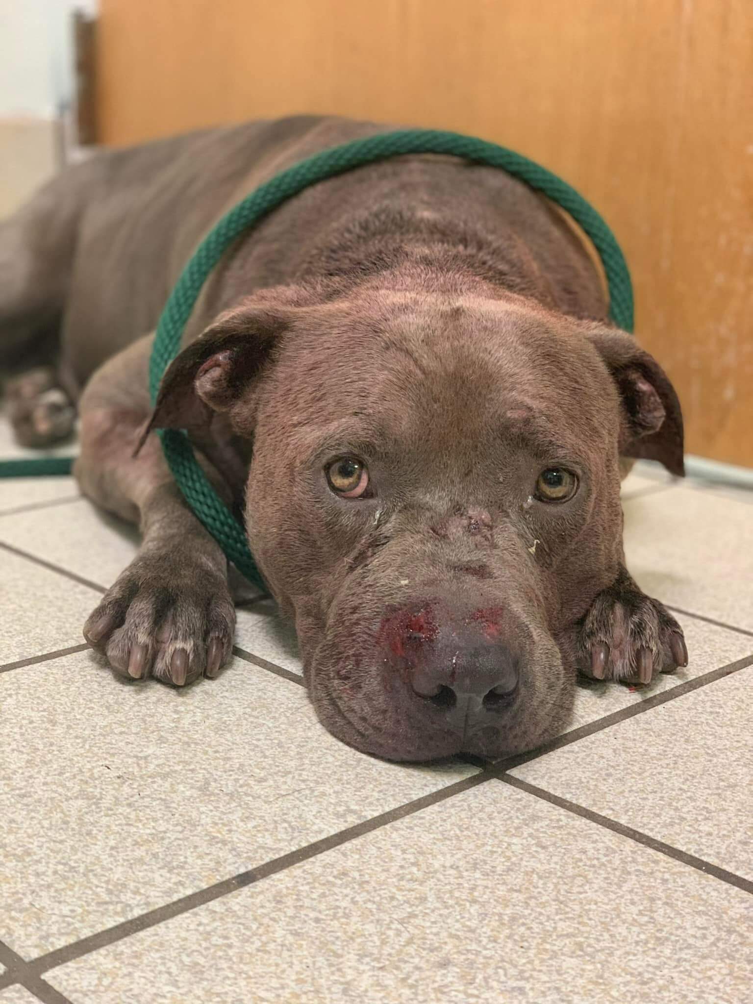 282130715_374013114761375_1161030184112700545_n