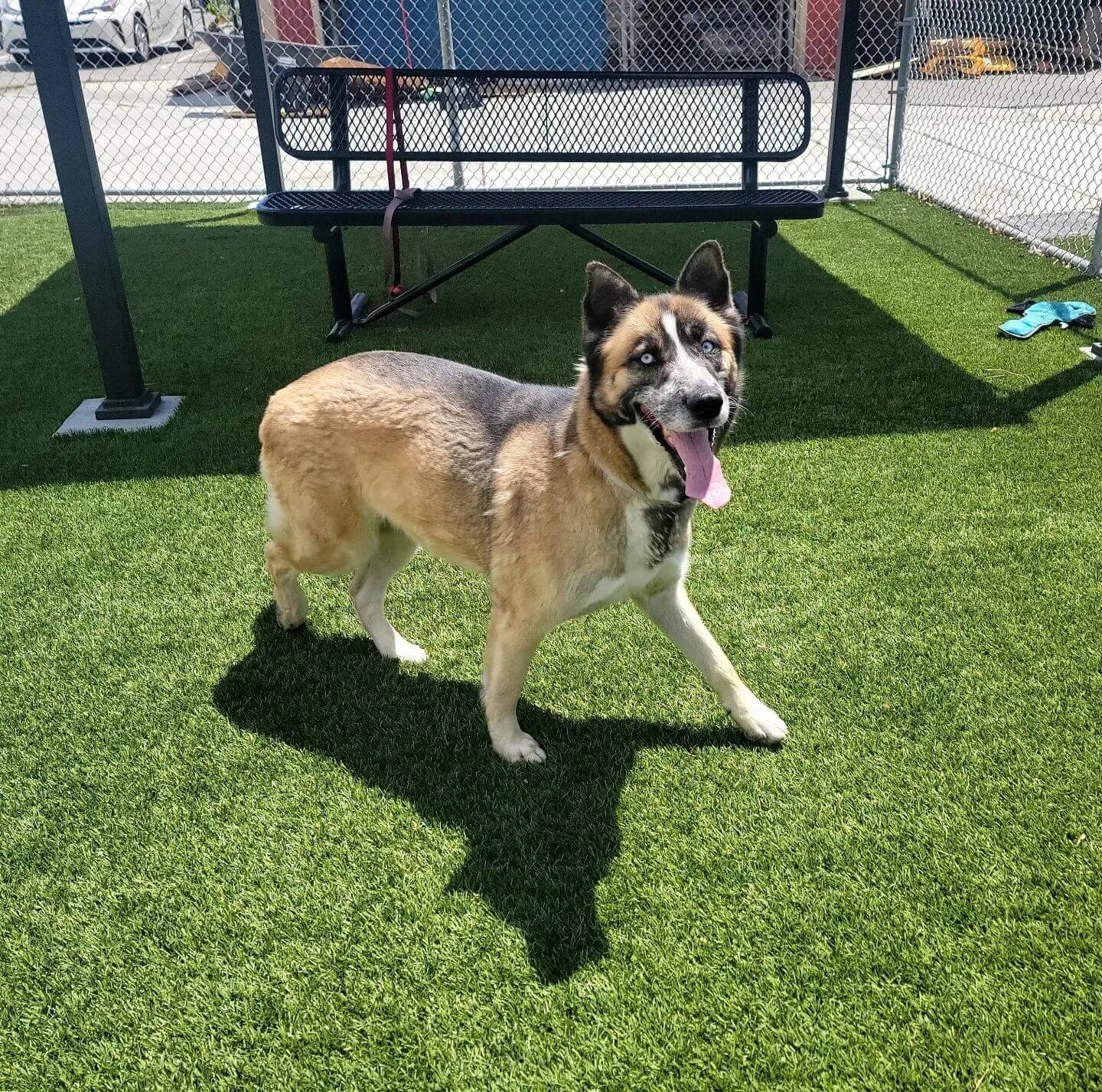 284688303_3191455394430231_2788999510435435300_n