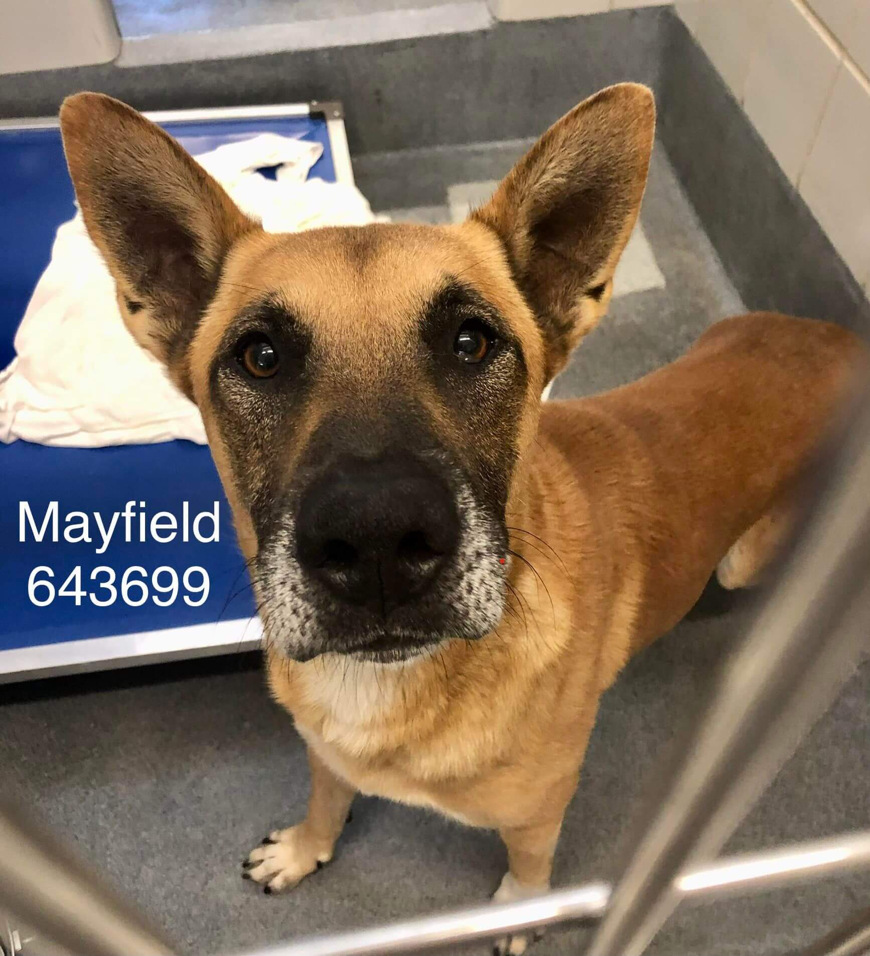 292852826_4685247688244379_827272035310996701_n