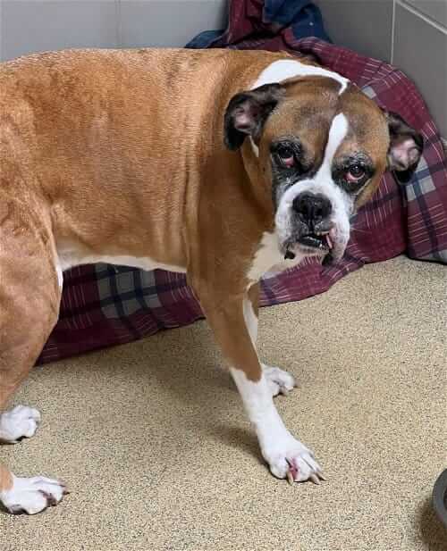 293706820_5343462305774038_6644496050736933243_n