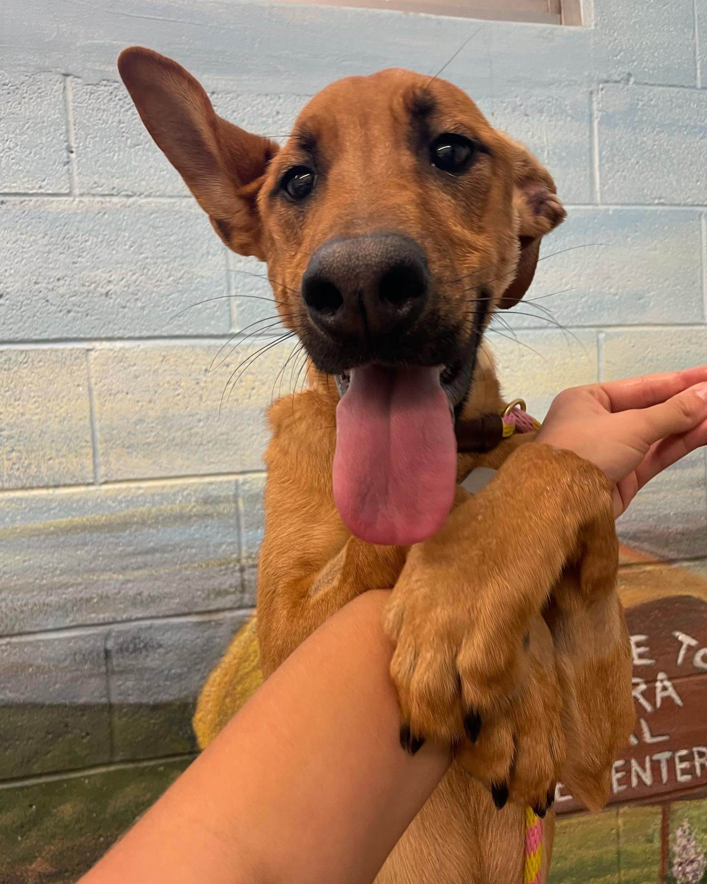 296845645_4950504135055117_9127371130990311136_n