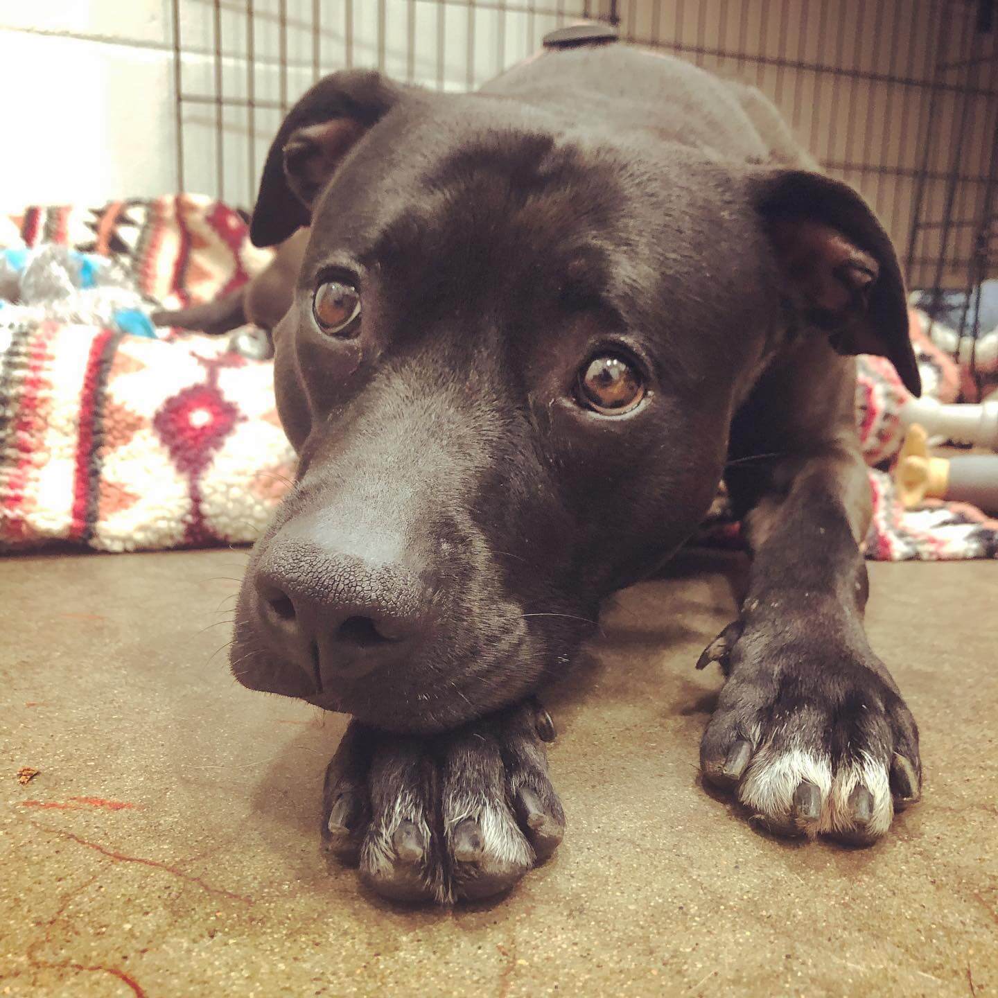 299085561_360956412909758_3647332894112142868_n