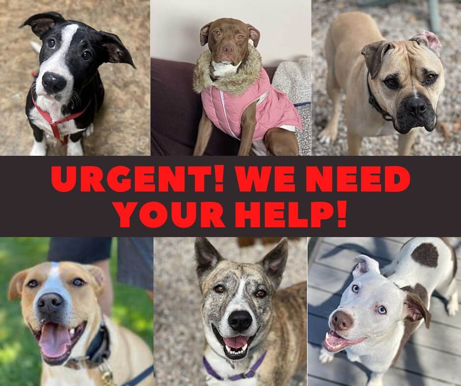 311251698_207294998306858_4429378686252342573_n