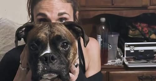 New Hampshire woman struck and killed by train as she tried to save dog off tracks New Hampshire woman struck and killed by train as she tried to save dog off tracks
