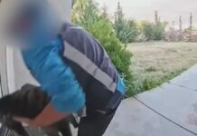 Amazon delivery man caught on video stealing family cat
