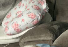 Ocala family to reunite with missing elderly Shih Tzu found at Long Island shelter months after disappearing