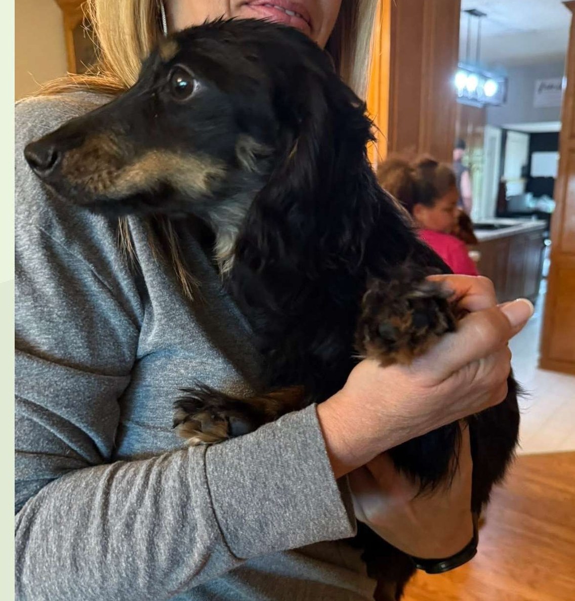 Dramatic rescue by drone pilot scaring away coyote from lost puppy in nick of time