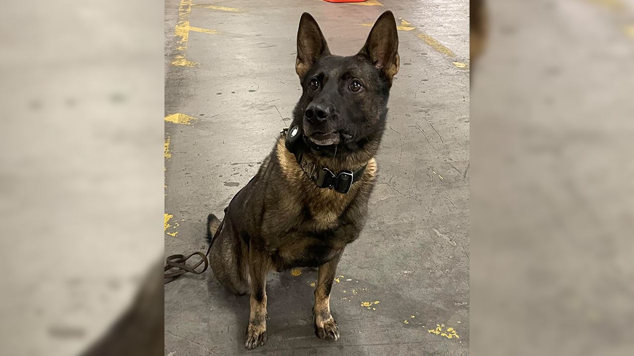 San Augustine County Sheriff’s Department K9 officer still missing