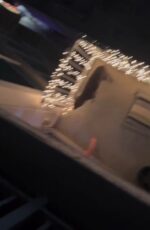 Austin dog seized by authorities after viral video showed alleged heartbreaking cruelty