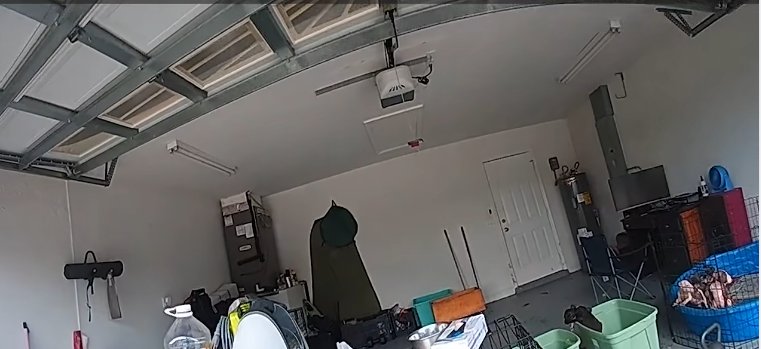 Deputies discover 13 puppies in 104-degree garage with no food or water; woman arrested