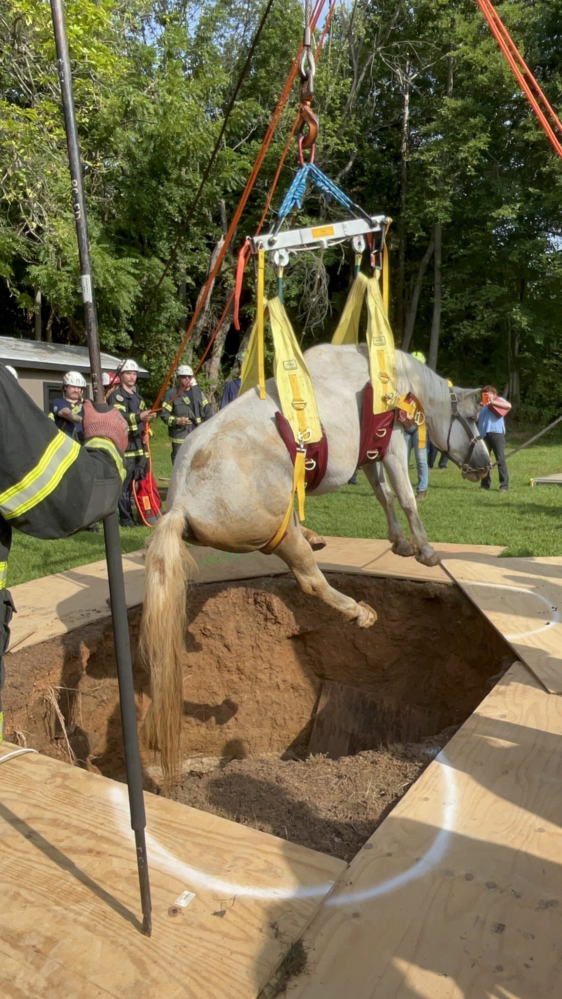 Firemen rescue horse that fell into hole after walking over plank that collapsed Firemen rescue horse that fell into hole after walking over plank that collapsed