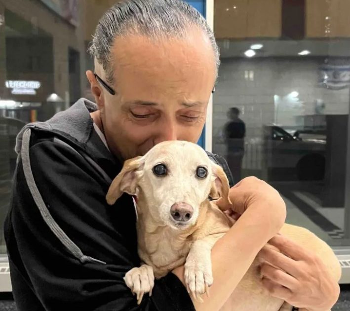 Stolen senior dog Bam Bam missing for months reunited with blind owner