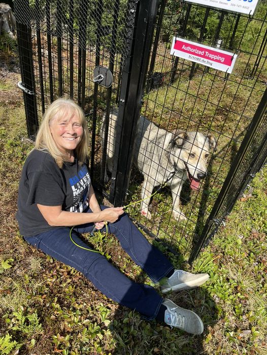 Barley the lost dog who escaped into the wilderness 14 months ago is now safe and sound Barley the lost dog who escaped into the wilderness 14 months ago is now safe and sound