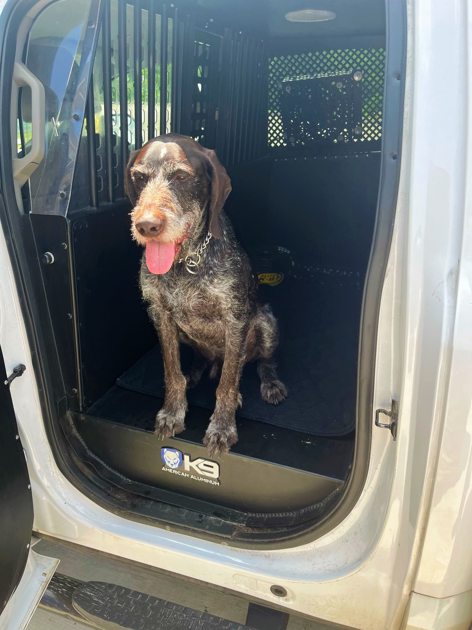 K-9 Baro honored with retirement party by TSA at Pittsburgh International Airport