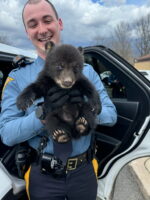 New Jersey State Trooper rescues orphaned bear cub near busy highway