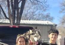 Emotional reunion as dog missing 7 years immediately remembered lost family