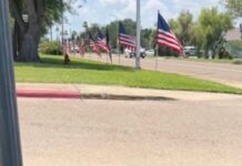 Tiny forgotten dog lay alone in dirt near school parking lot until someone with a heart cared