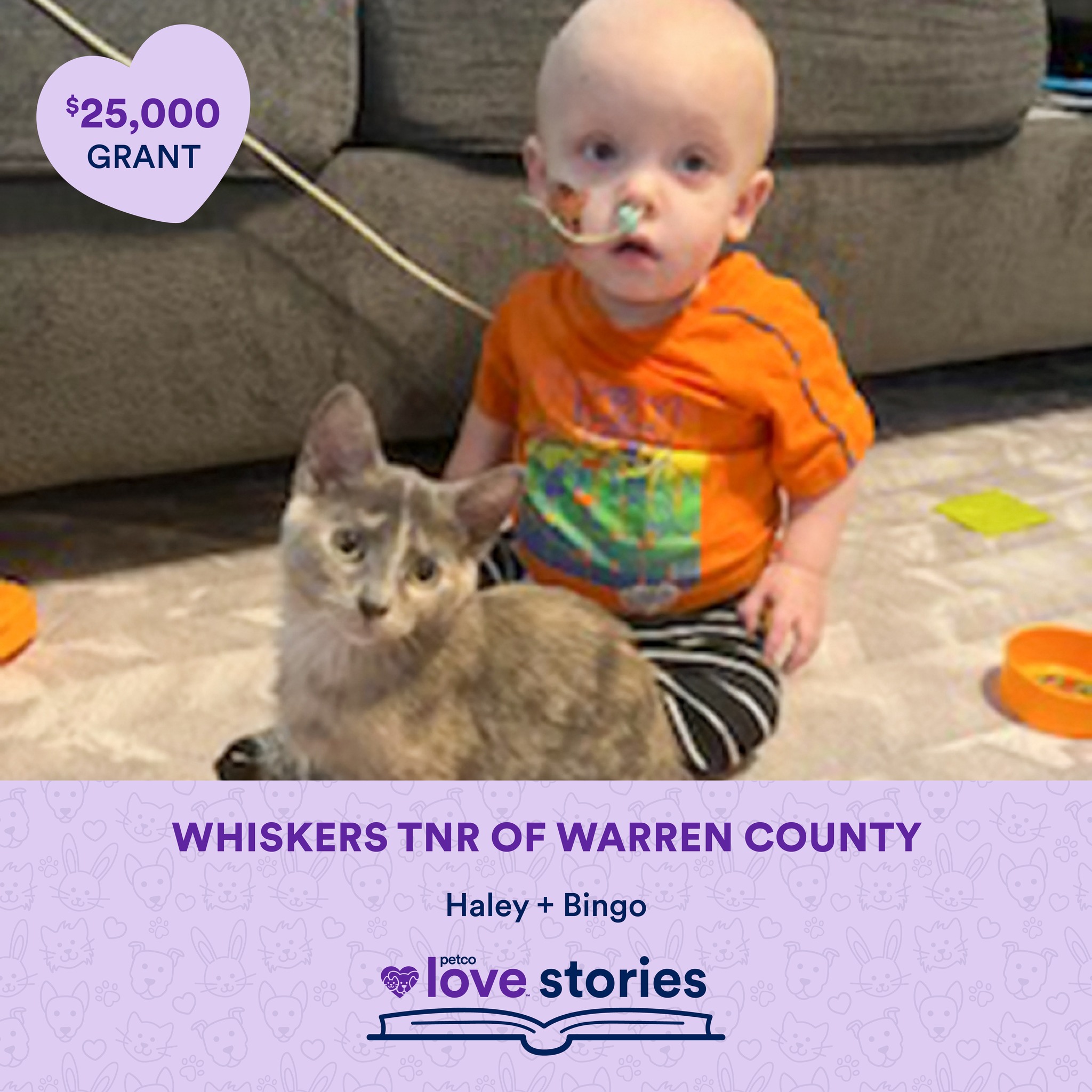 Adopted kitten ‘Bingo’ bonds with 14-month old toddler fighting leukemia