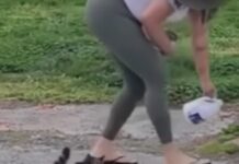 Disturbing video of woman pouring bleach in cat dishes prompts SPCA investigation