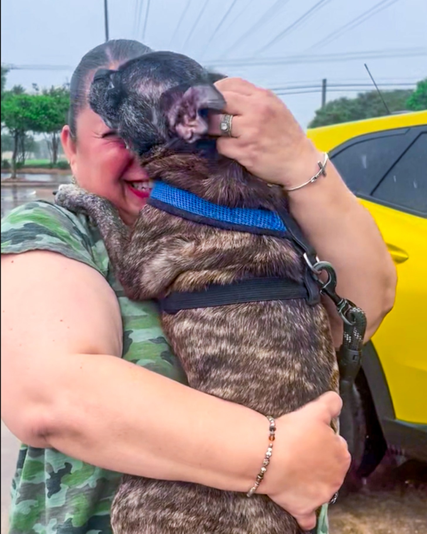 Dog missing for 8 years after Hurricane Harvey reunited in heartwarming reunion