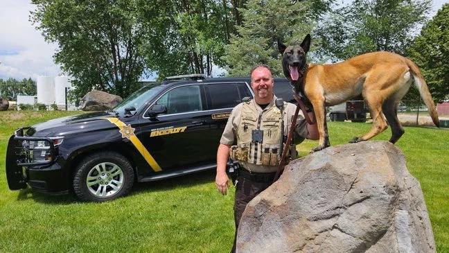 Sheriff’s deputy and K9 Azula reunited with caregivers who helped saved dog’s life after tragic domestic violence shooting