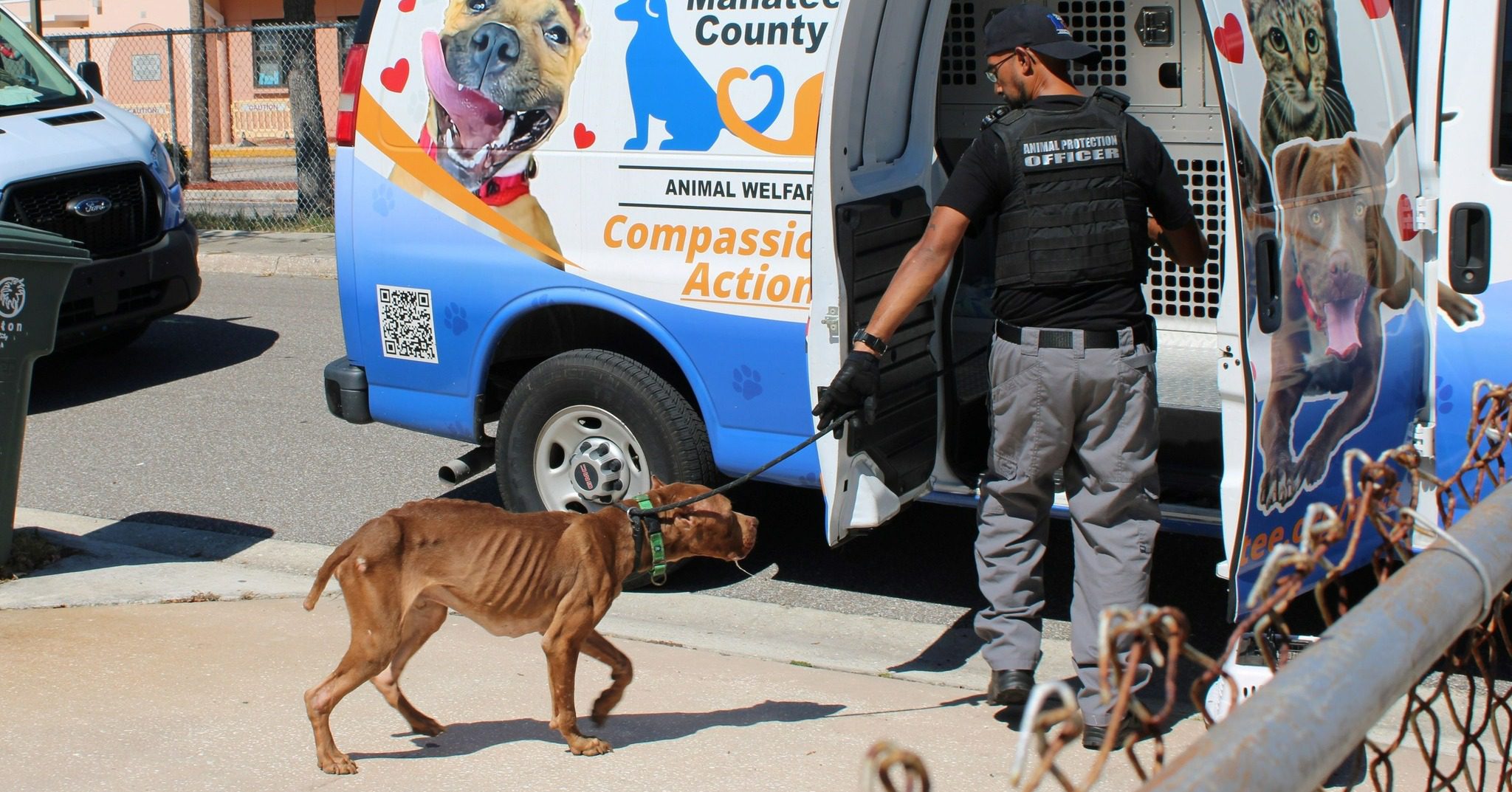 Five malnourished dogs rescued and owners arrested for animal cruelty after anonymous tip