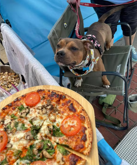 Memphis pup brutally beaten for eating her owner’s pizza gets her own pizza party Memphis pup brutally beaten for eating her owner’s pizza gets her own pizza party