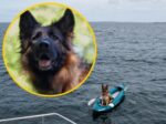 Dog on inflatable kayak blown out to North Sea’s miraculous rescue Dog on inflatable kayak blown out to North Sea’s miraculous rescue