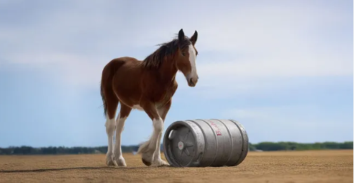 Budweiser’s new Super Bowl commercial brings back the Clydesdales with the newest heartwarming foal