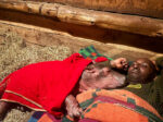 Just 3 day old orphaned hippo calf nudges way into rescuers hearts Just 3 day old orphaned hippo calf nudges way into rescuers hearts