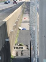 Dog trapped in interstate median as vehicles raced by rescued by kindest truck driver who pulled over to help