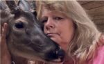 New Jersey woman prosecuted by state for rescuing orphaned deer 8 years ago