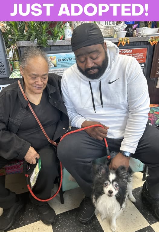 From heartbreak to happy ending senior pup left tied to pole adopted by man who stepped up to bring him food and water