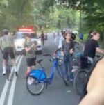 Central Park carriage horse died after eating poisonous plant Central Park carriage horse died after eating poisonous plant